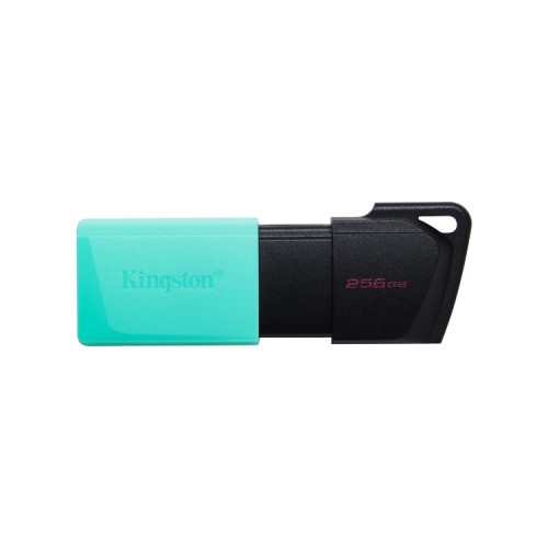 Kingston DataTraveler Exodia M 256GB USB Drive