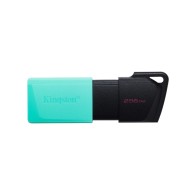 Kingston DataTraveler Exodia M 256GB USB Drive