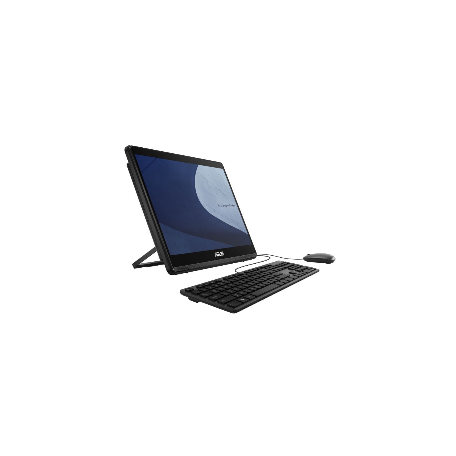 Asus All-in-One E1600WKAT-BMR090M PC