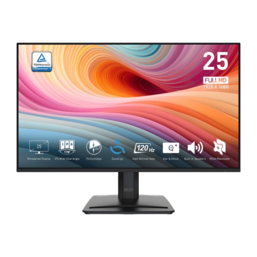 MSI Pro MP251 E2 Monitor