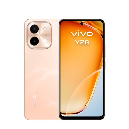 Smartphone Vivo Y28 6.68' (4+128GB) Orange